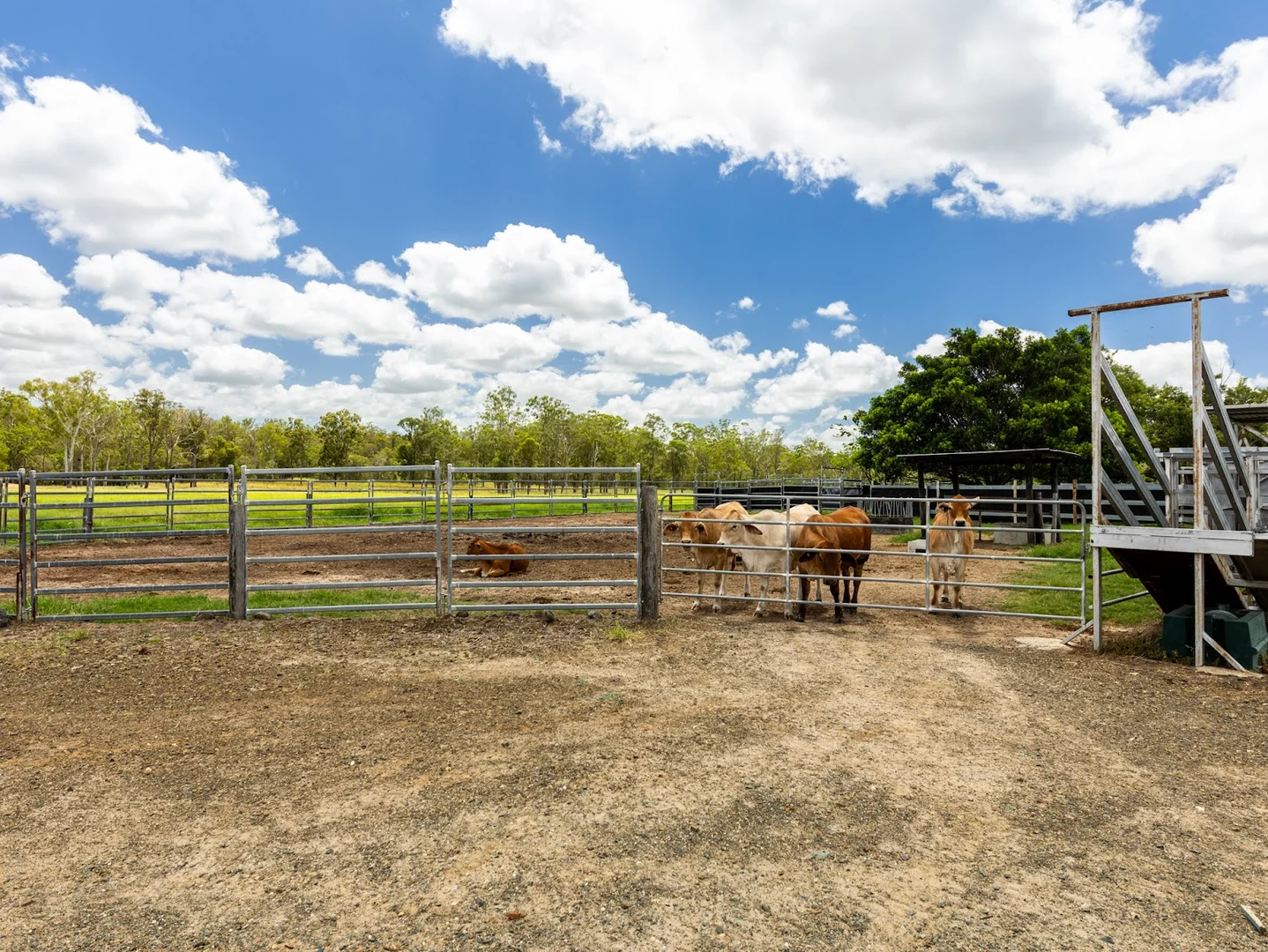 Additional image 33 of South Kolan QLD 4670