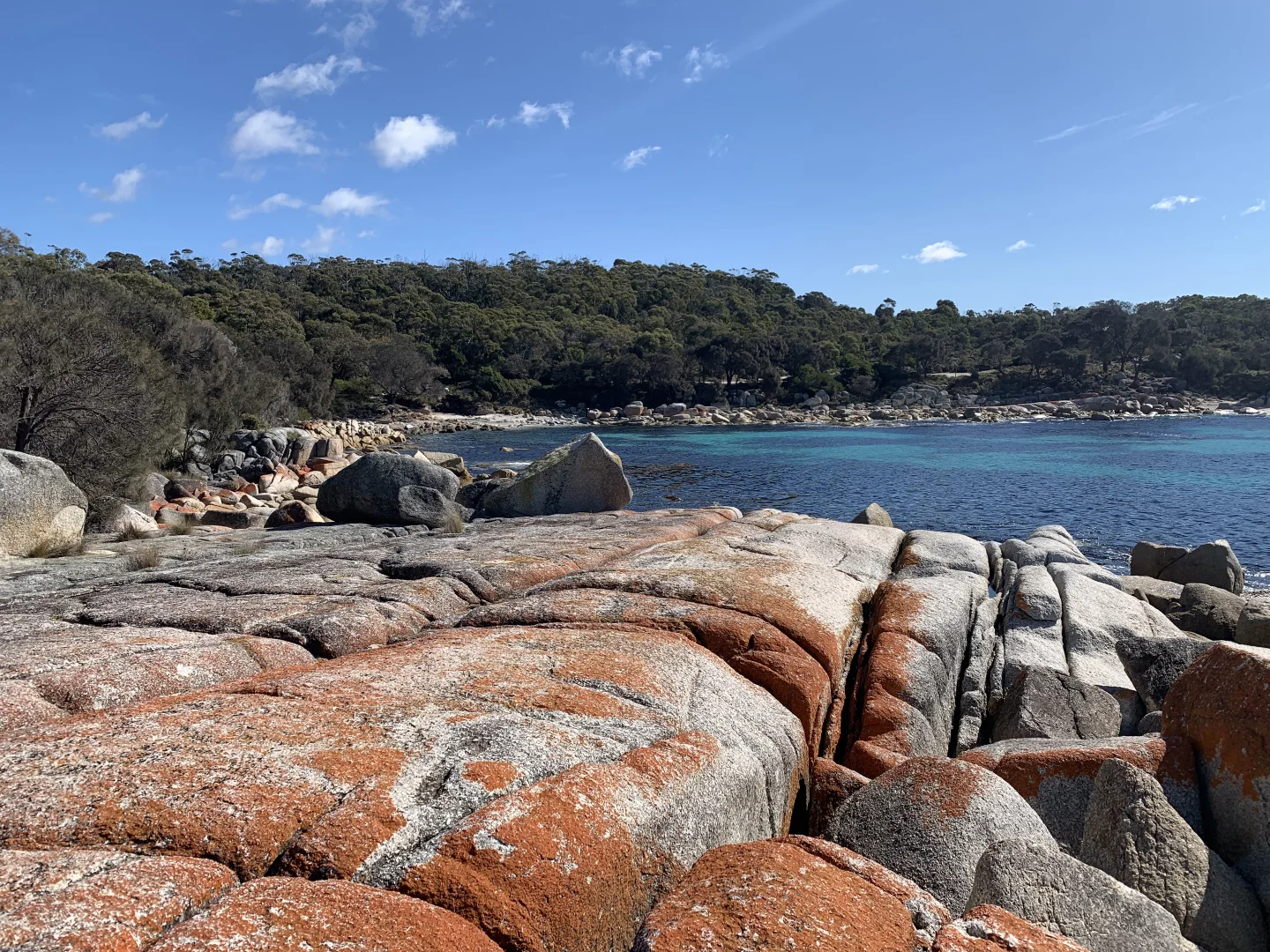 Additional image 13 of 15 Seaton Cove Road, Binalong Bay TAS 7216