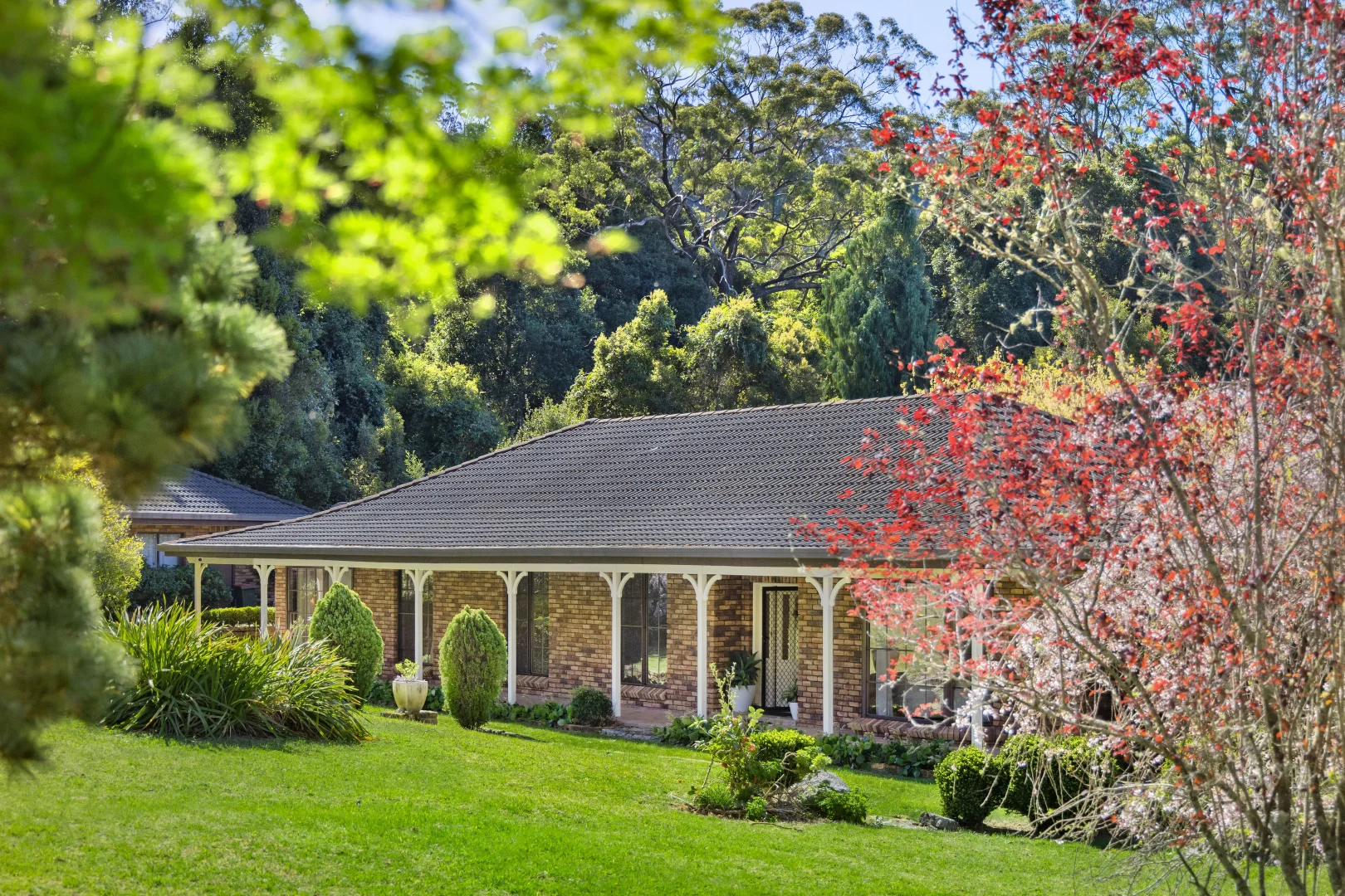 Additional image 5 of 499C Tourist Road, Bellawongarah NSW 2535