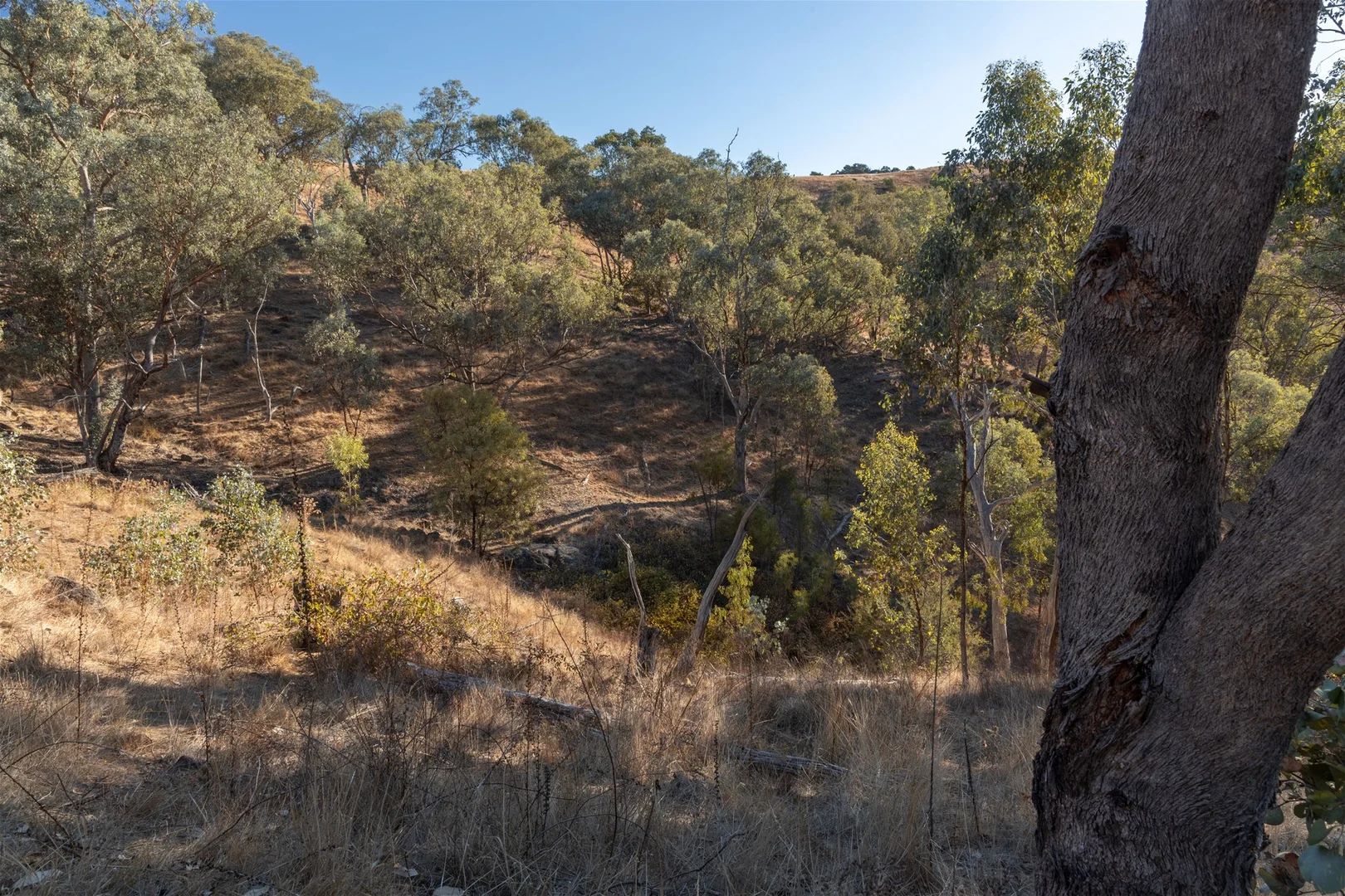 Additional image 29 of 189 Coyles Road, Wodonga VIC 3690