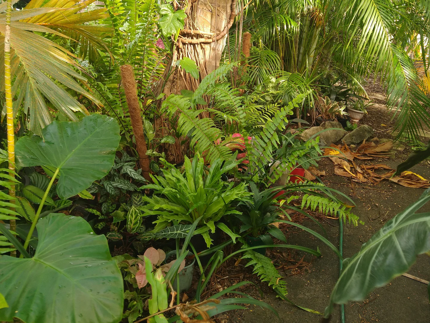 Additional image 30 of 697 Bootooloo Road, Bowen QLD 4805