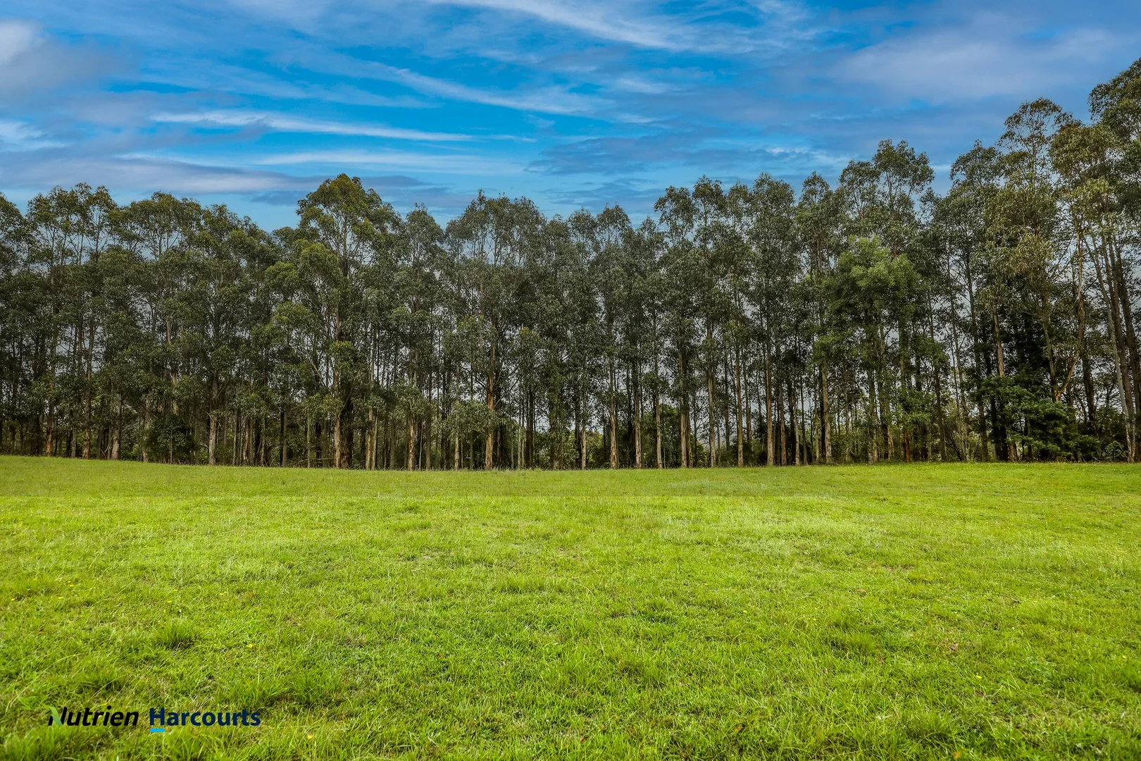 Additional image 7 of 506 Sawyers Ridge Road, Reidsdale NSW 2622