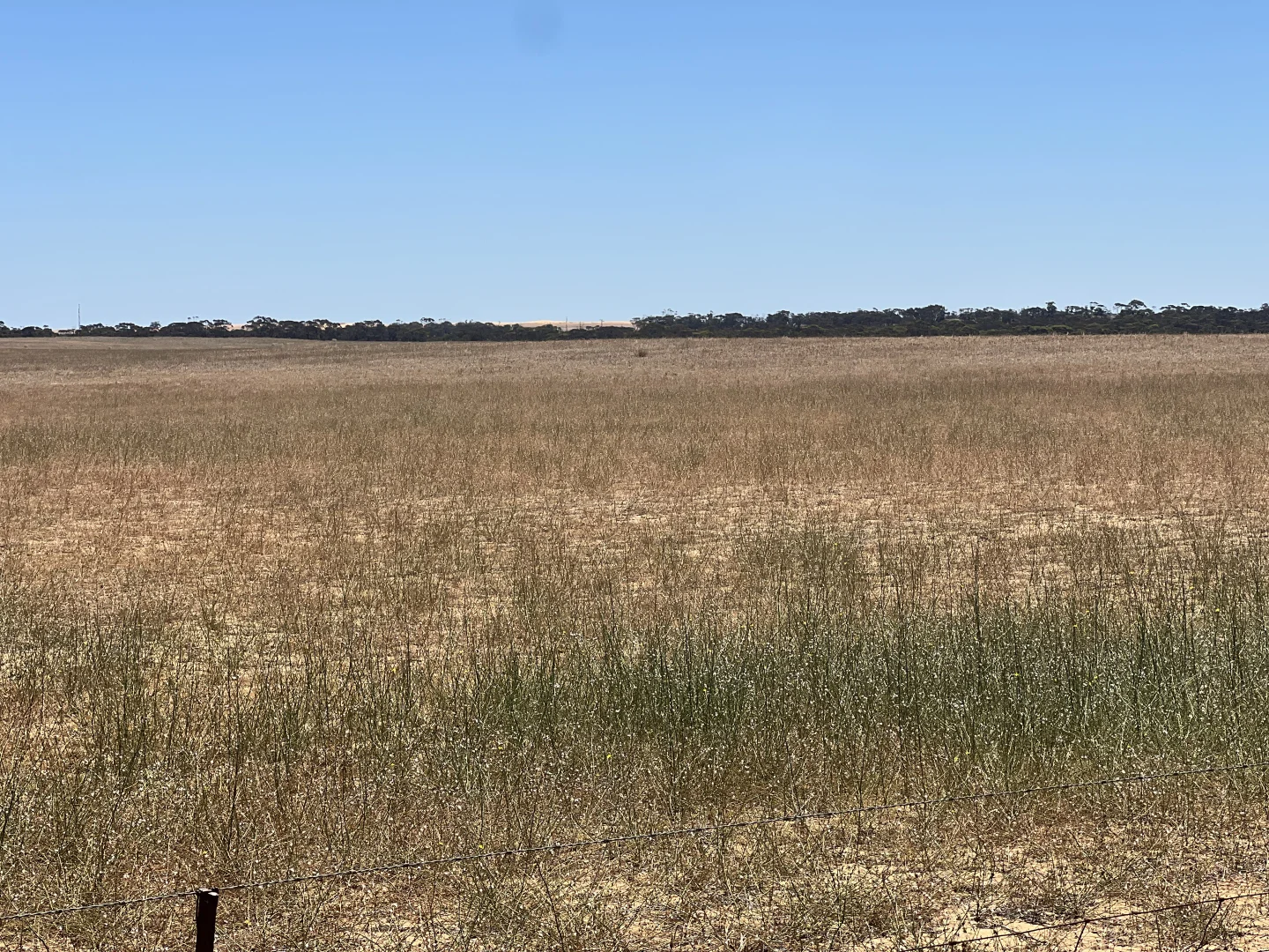 Additional image 18 of Lot 1 Stones Track & Lot 17 Kulkami Road, Karoonda SA 5307