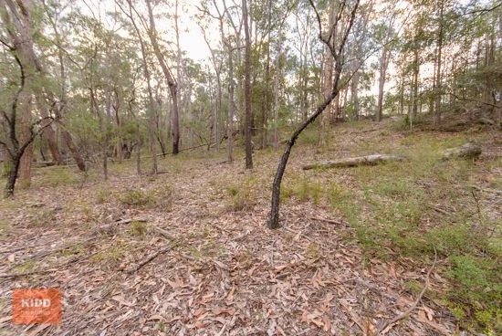 Additional image 11 of 62 Una Road, Bucketty NSW 2250