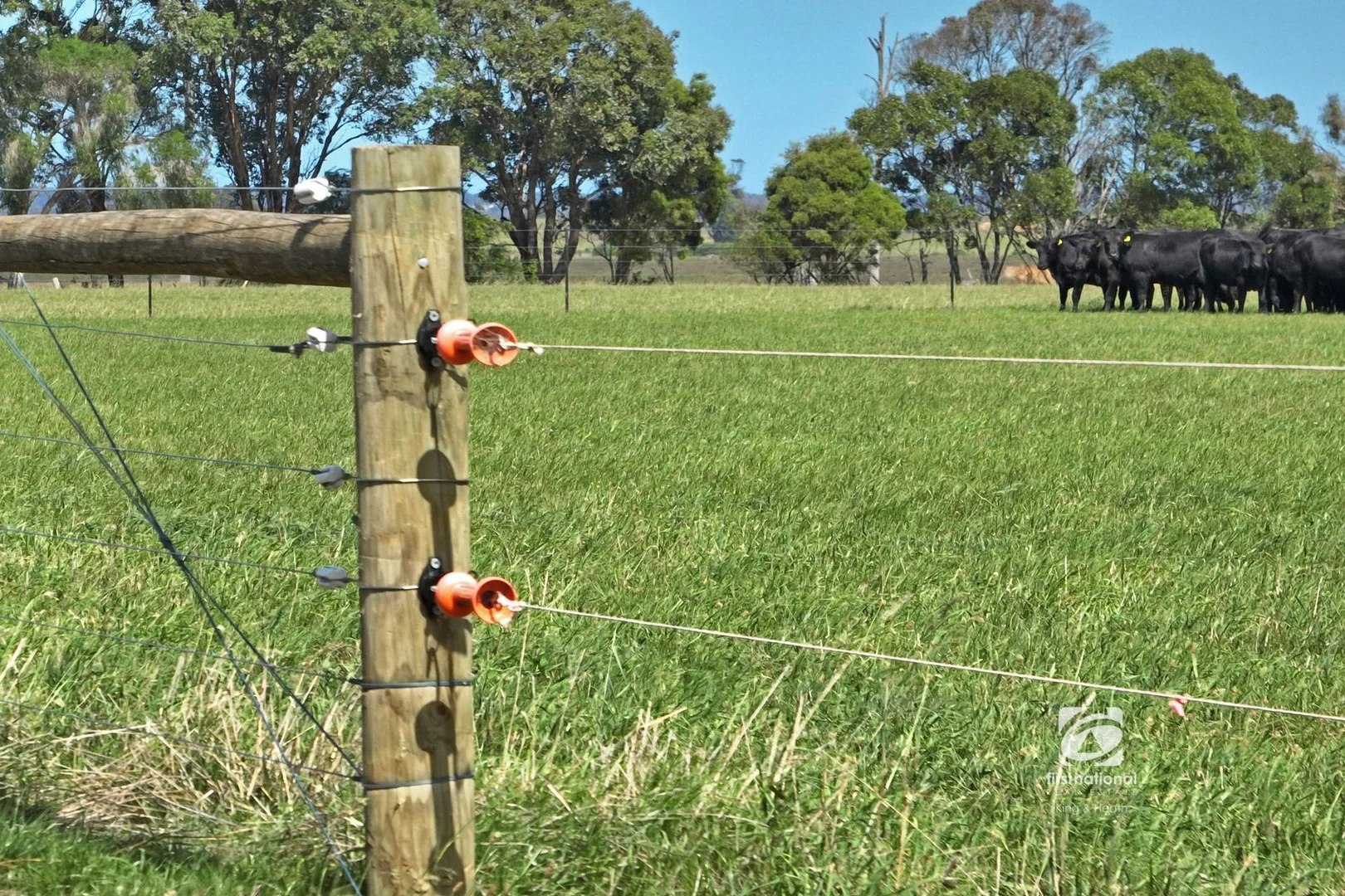 Additional image 20 of 38 Ellasville Road, Nicholson VIC 3882