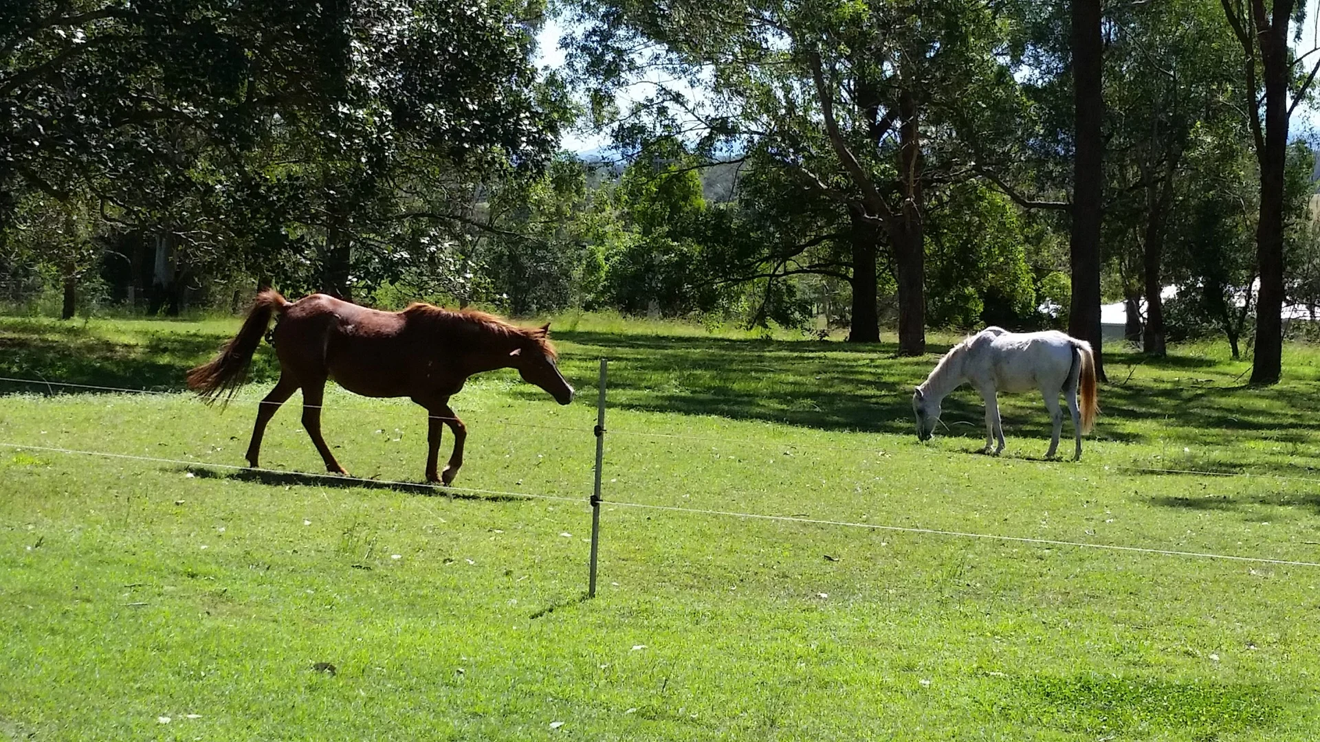 Additional image 12 of Yorklea NSW 2470