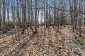 Additional image 6 of 1183 Kevin Blvd, Endicott, NY, 13760