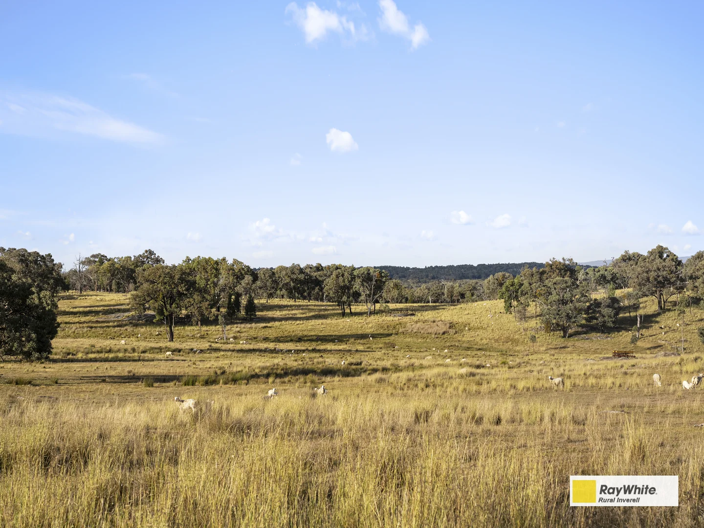 Additional image 58 of 'Bon Sante'/2720 Bingara Road, Inverell NSW 2360