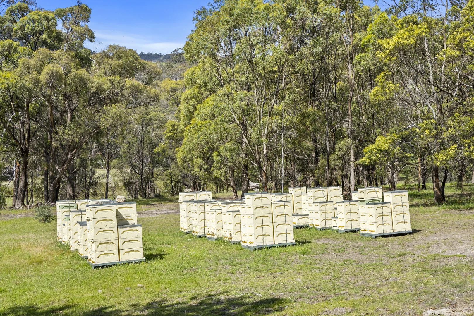 Additional image 36 of Shrub End Road, Pawleena TAS 7172