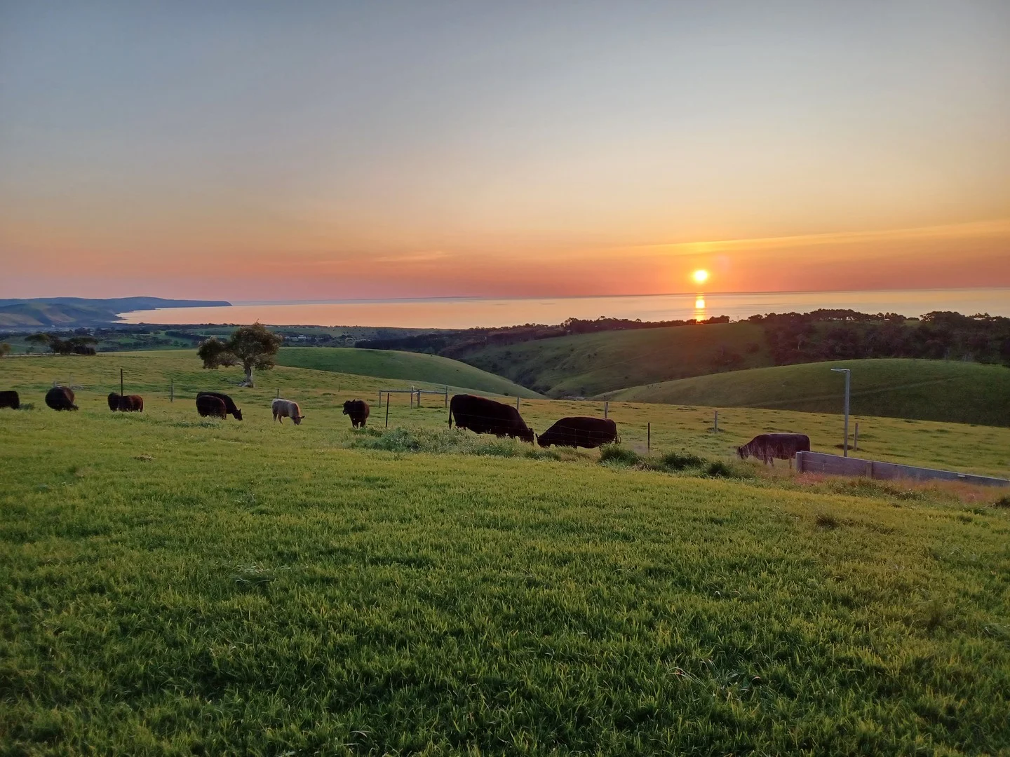 Additional image 32 of 333 Smith Hill Road, Carrickalinga SA 5204