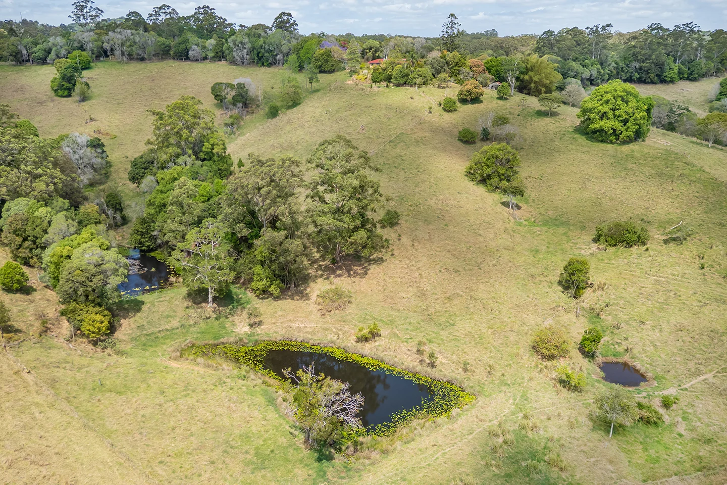 Additional image 15 of 220 Black Mountain Range Road, Black Mountain QLD 4563