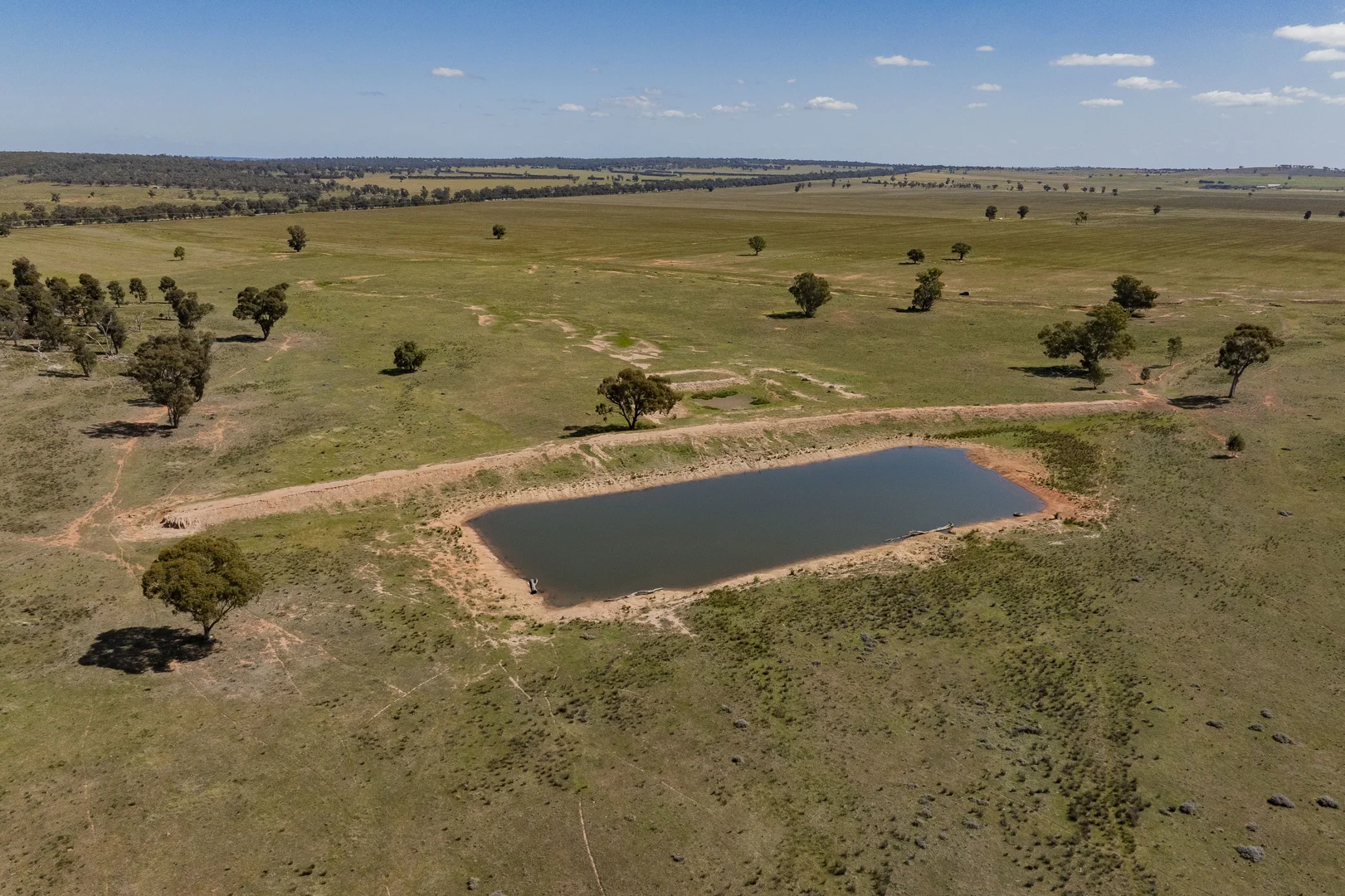 Additional image 8 of 869 Newell Highway, Narrandera NSW 2700