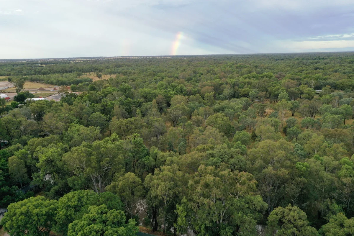 Additional image 45 of 7 Downes Street, Chinchilla QLD 4413
