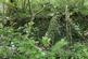 Additional image 2 of Waungilwen, Drefach-Velindre SA44