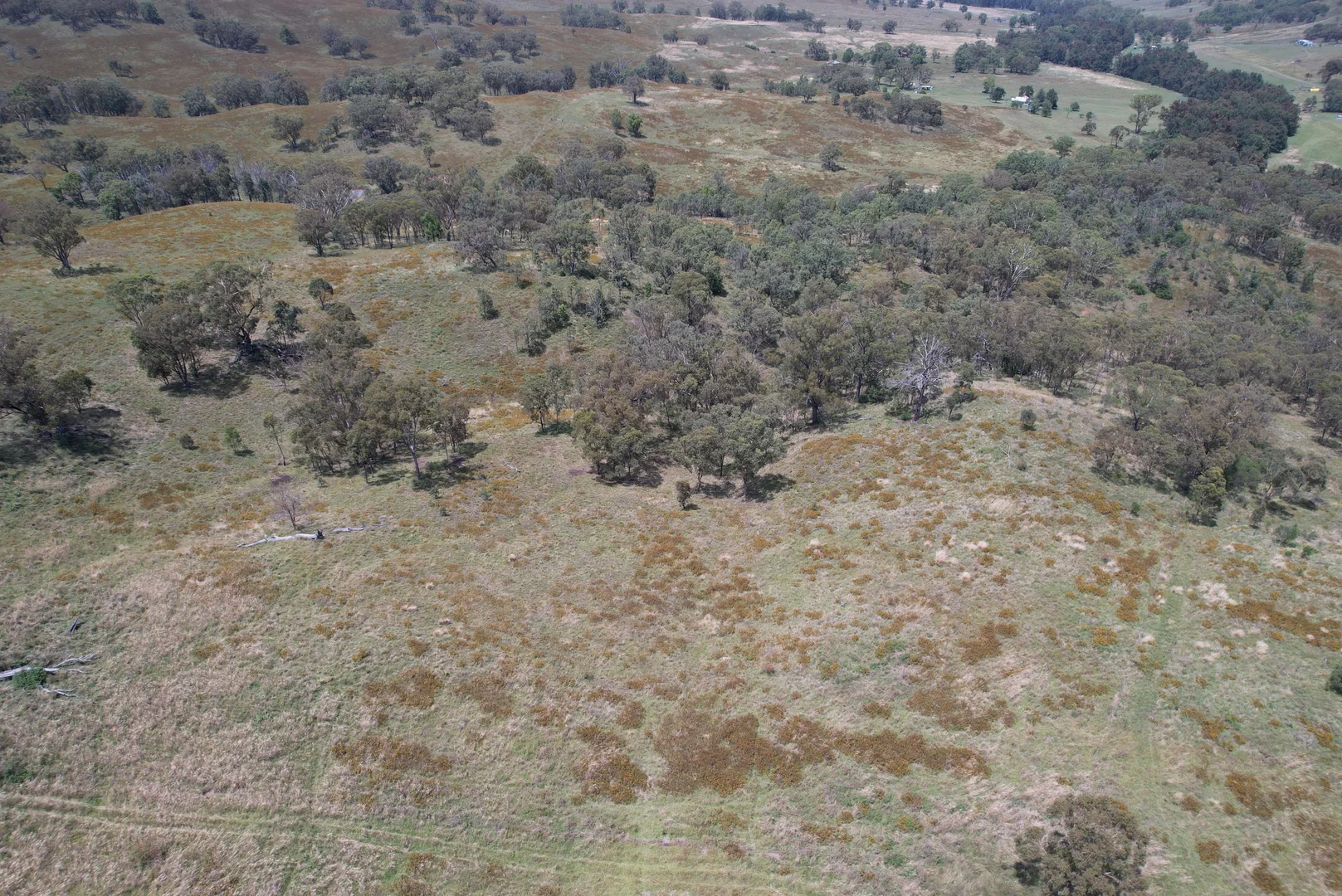 Additional image 11 of 23, 23 Pembroke Road, Cassilis NSW 2329