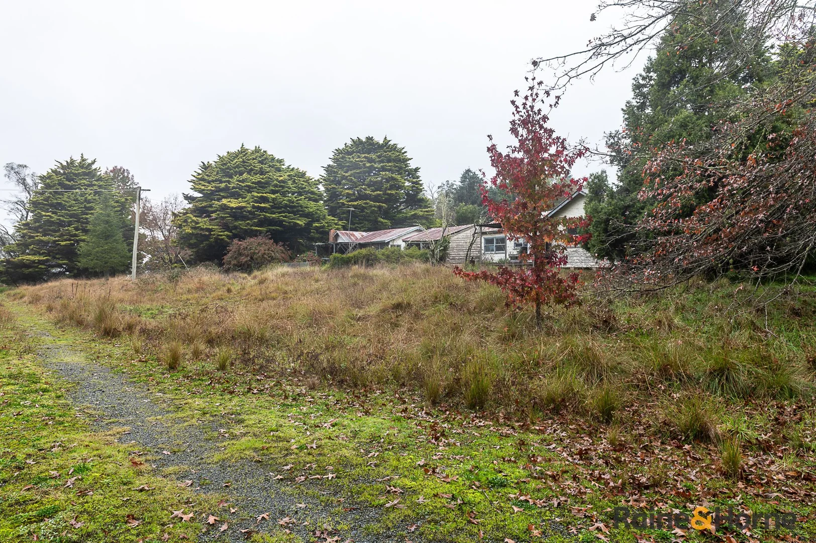 Additional image 7 of 4833 Brackendale Road, Nowendoc NSW 2354