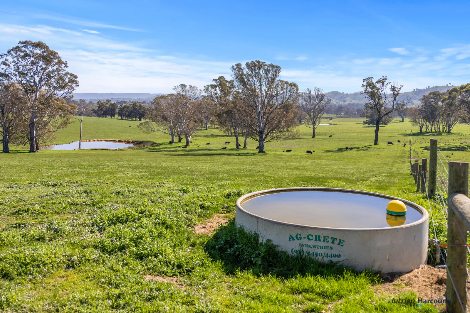 Additional image 13 of 2222 Goulburn Valley Highway, Alexandra VIC 3714