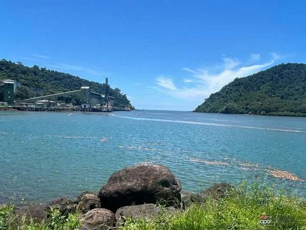 Additional image 17 of 1 and 2/326 Mourilyan Harbour Road, Mourilyan QLD 4858