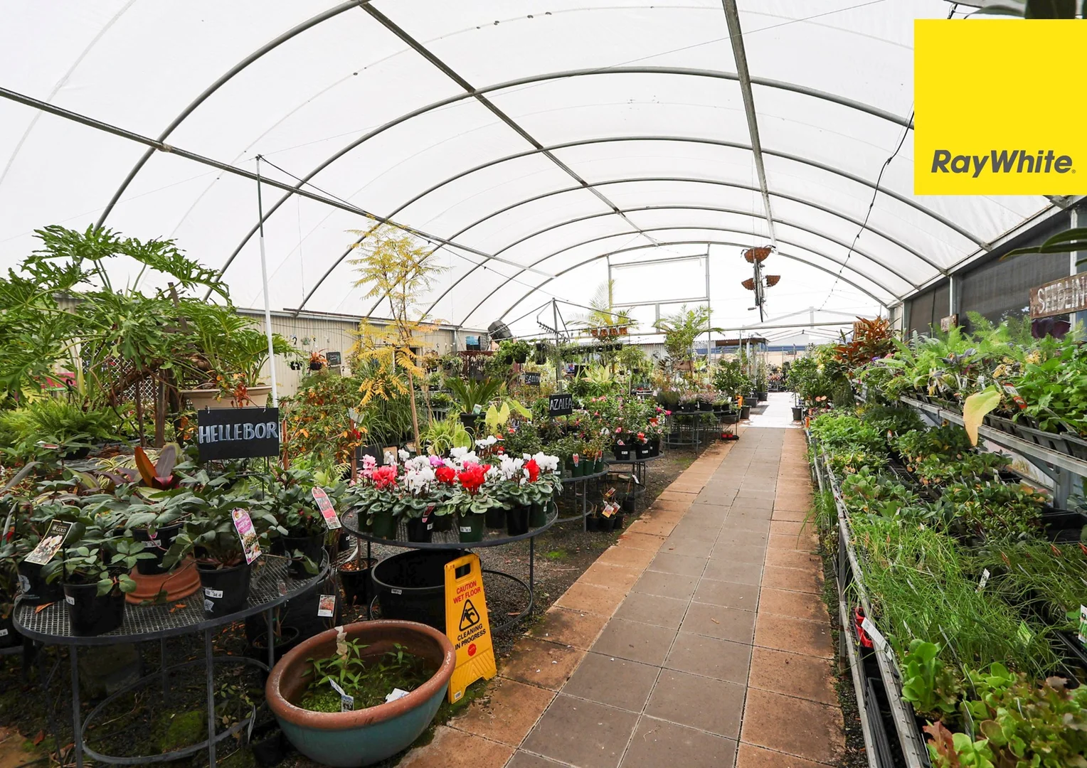 Additional image 12 of 160 Evans Street, Inverell NSW 2360