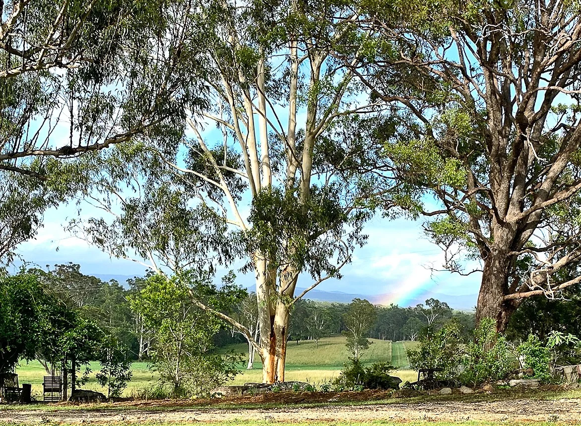 Additional image 30 of 696 Kungala Road, Kungala NSW 2460