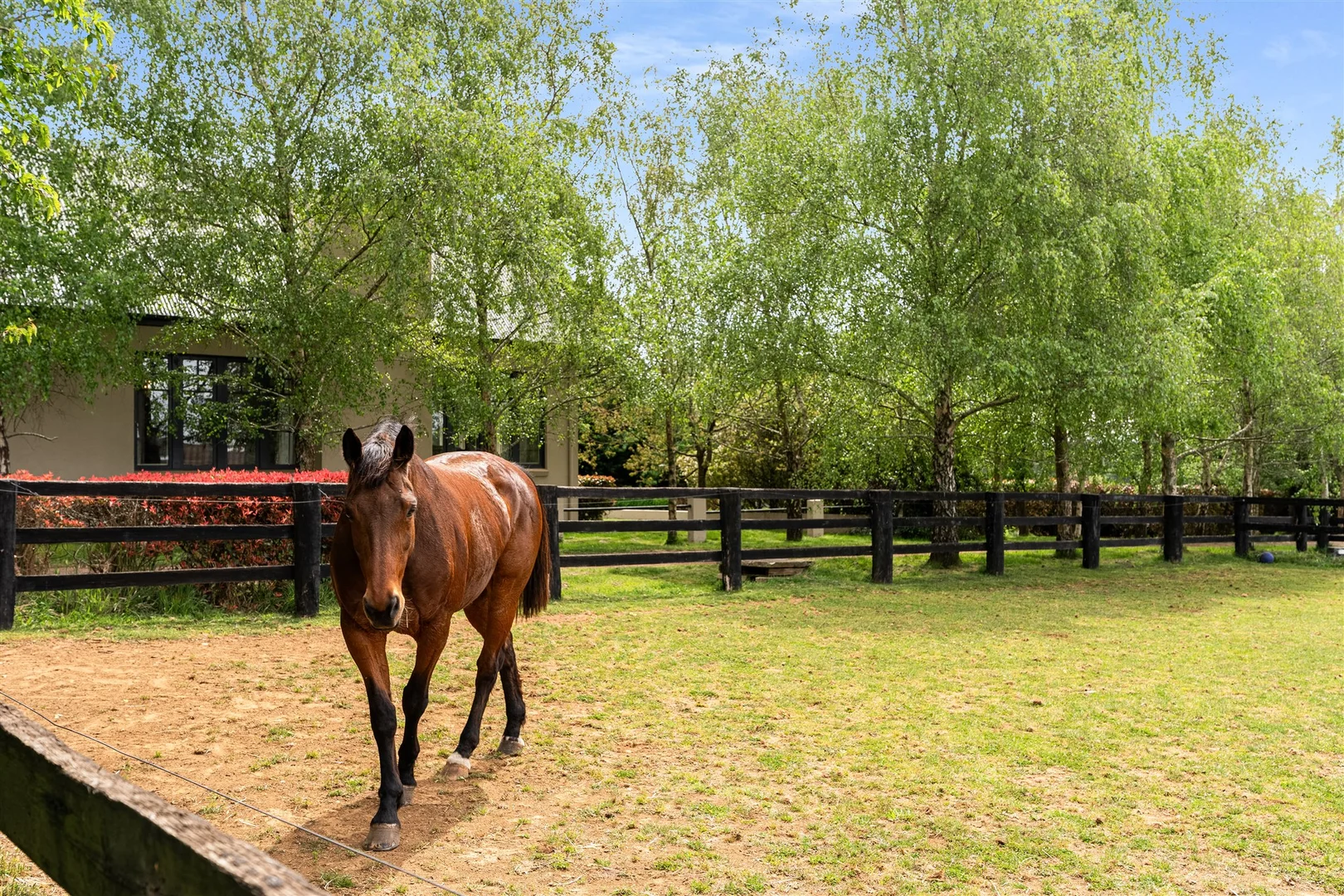 Additional image 24 of 103 Redhills Road, Fitzroy Falls NSW 2577