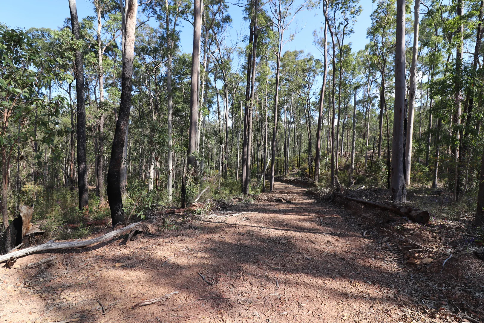 Additional image 8 of Lot 41 Collombatti Road, Collombatti NSW 2440