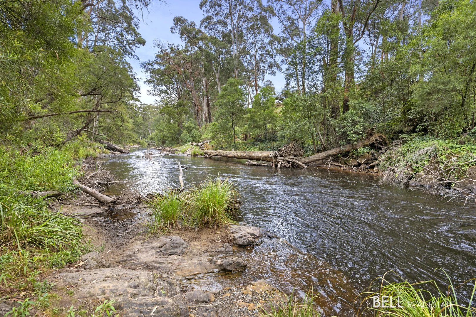 Additional image 10 of 3 River Road, Millgrove VIC 3799