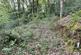 Additional image 8 of Waungilwen, Drefach-Velindre SA44