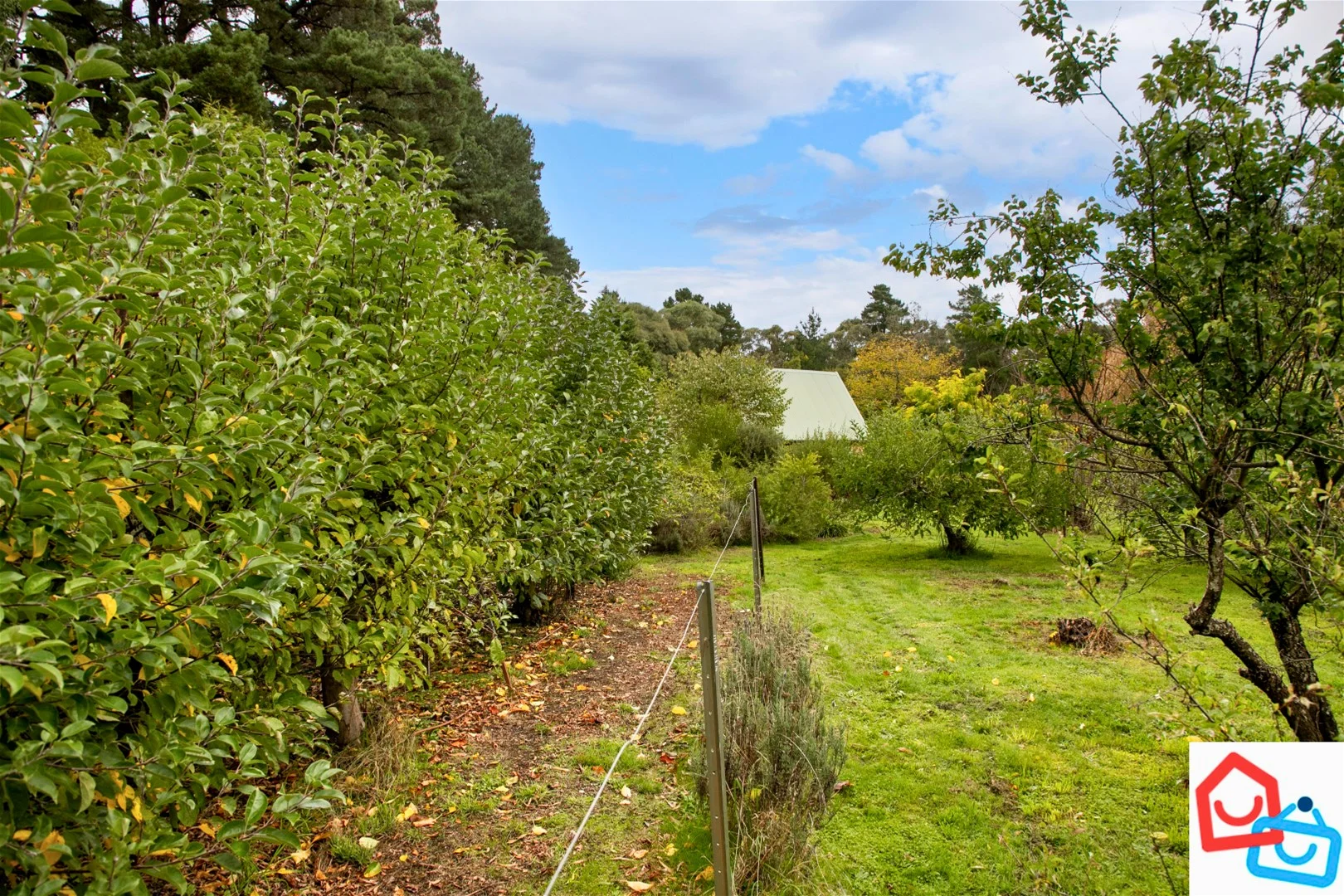 Additional image 22 of 412 Smythesdale Snake Valley Road, Hillcrest VIC 3351