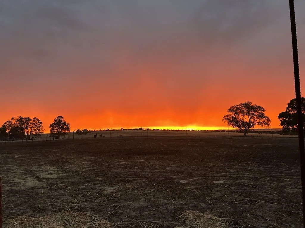 Additional image 4 of Lot 1 Maitland Rd, Kokeby WA 6304