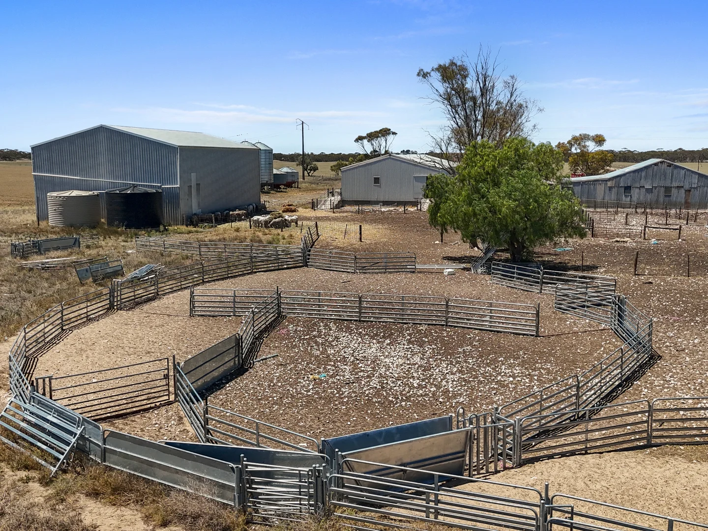 Additional image 5 of 2293 & 2640 Mallee Highway, Sherlock SA 5301