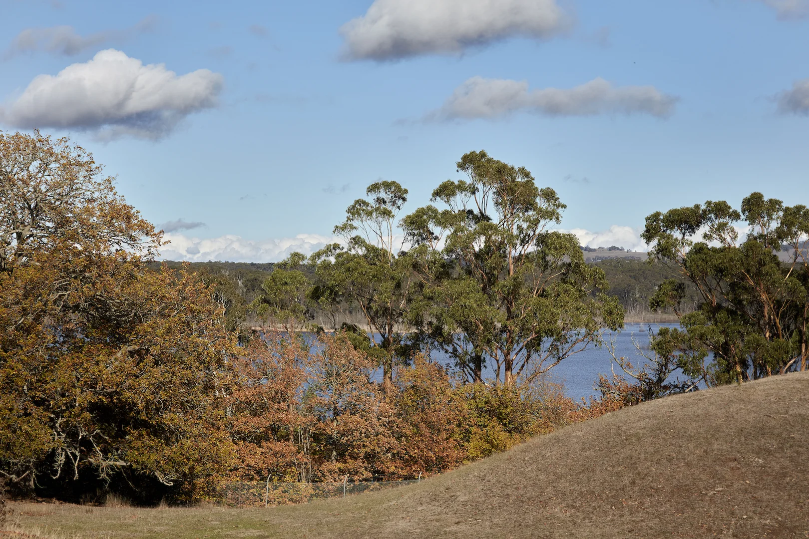 Additional image 15 of 233 Ross Watt Road, Gisborne VIC 3437