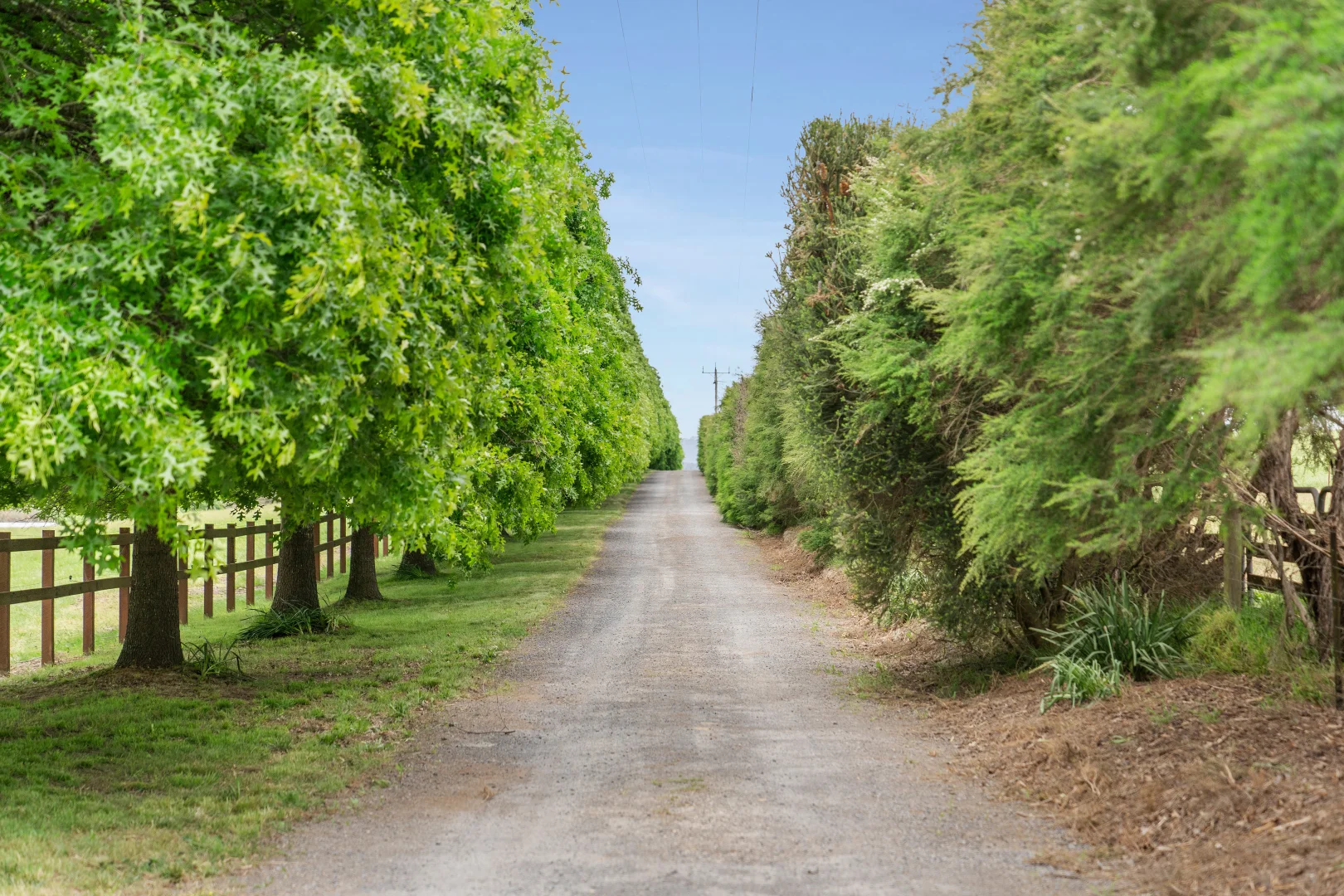 Additional image 5 of 772 Healesville-Koo Wee Rup Road, Woori Yallock VIC 3139