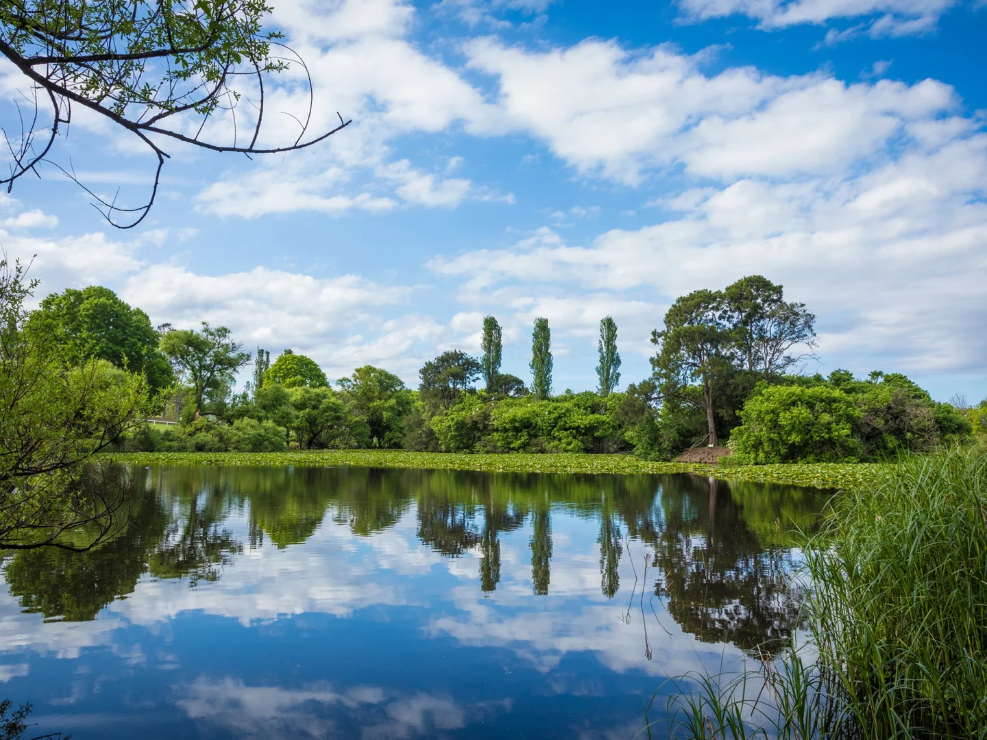 Additional image 10 of 1 Orange Roughy Road, Bega NSW 2550