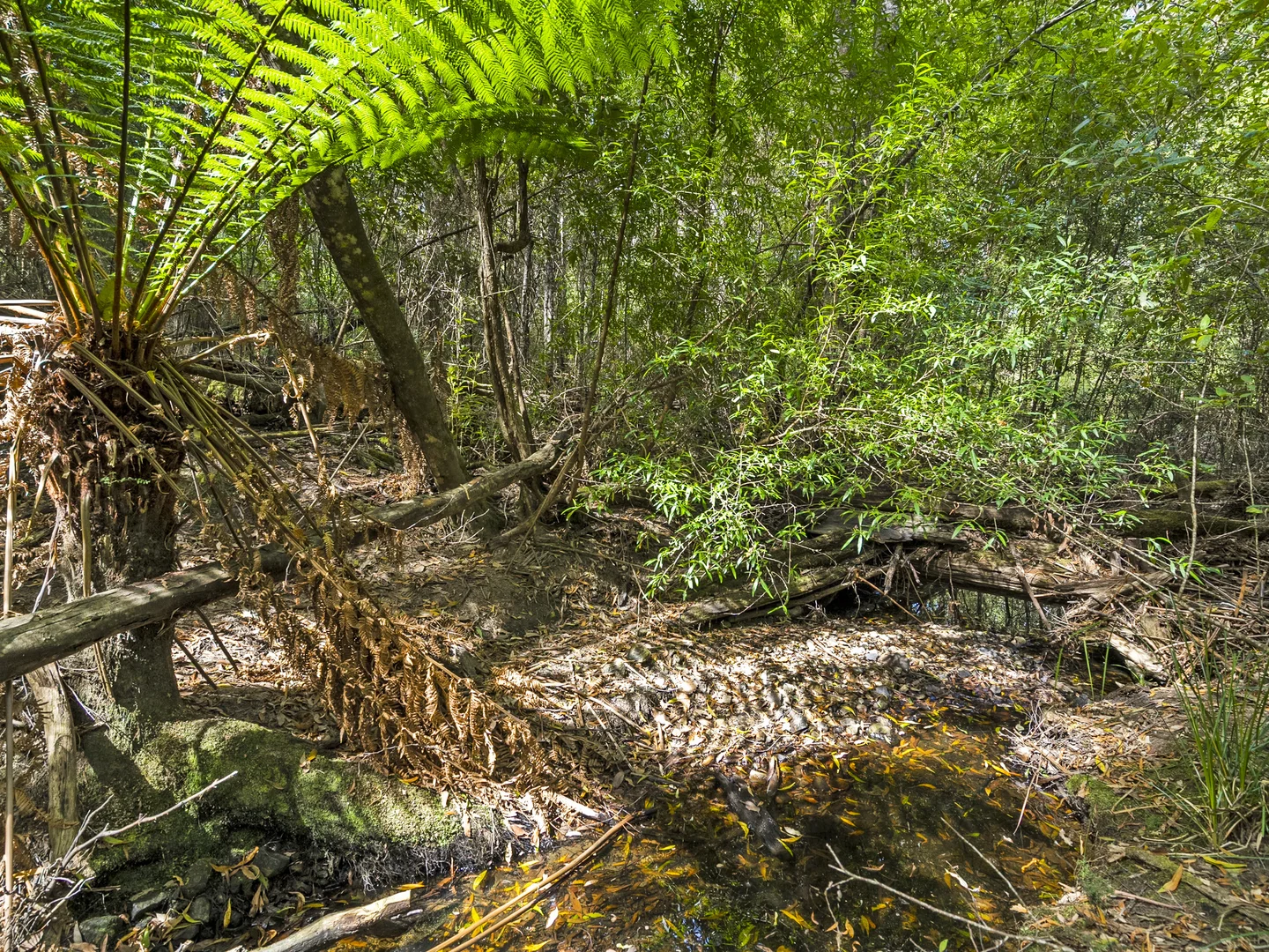 Additional image 38 of 321 Pirates Bay Drive, Eaglehawk Neck TAS 7179