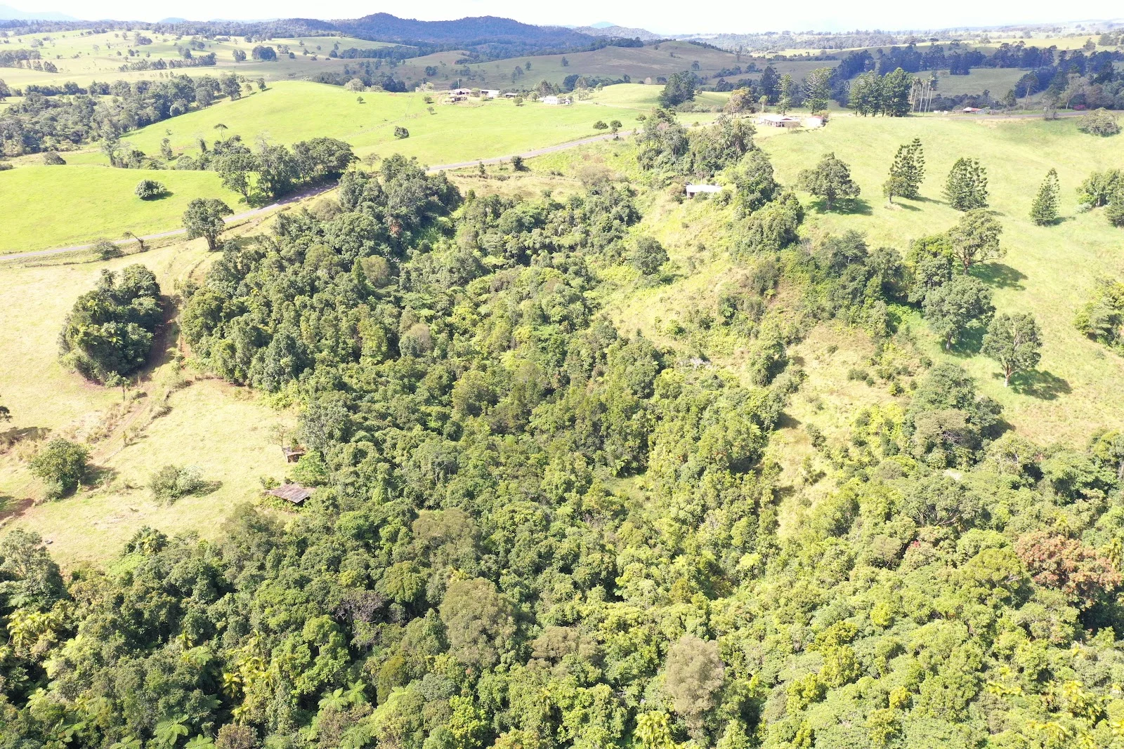 581 Theresa Creek Road, Millaa Millaa QLD 4886