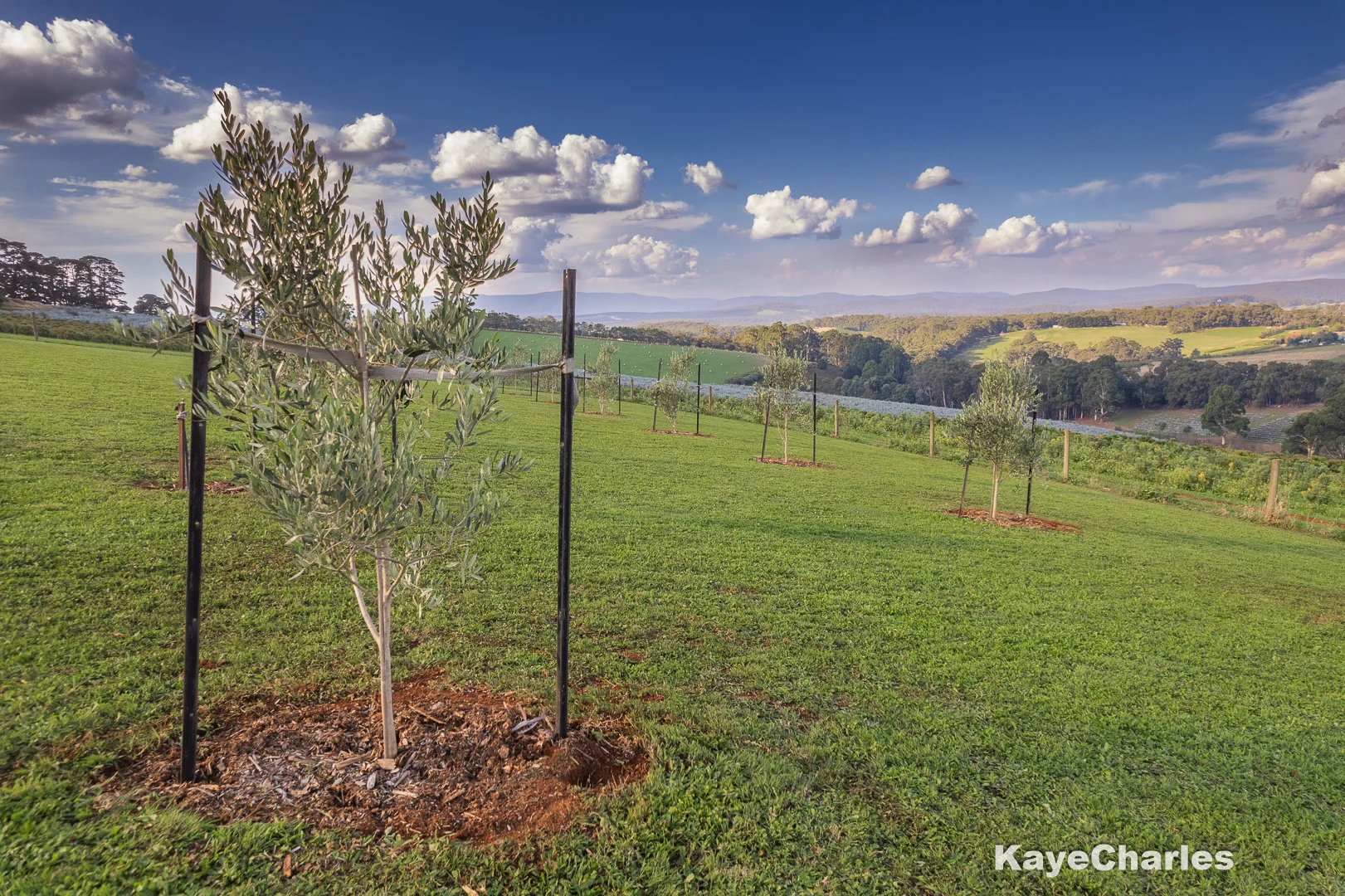 Additional image 26 of 40 Ure Road, Gembrook VIC 3783