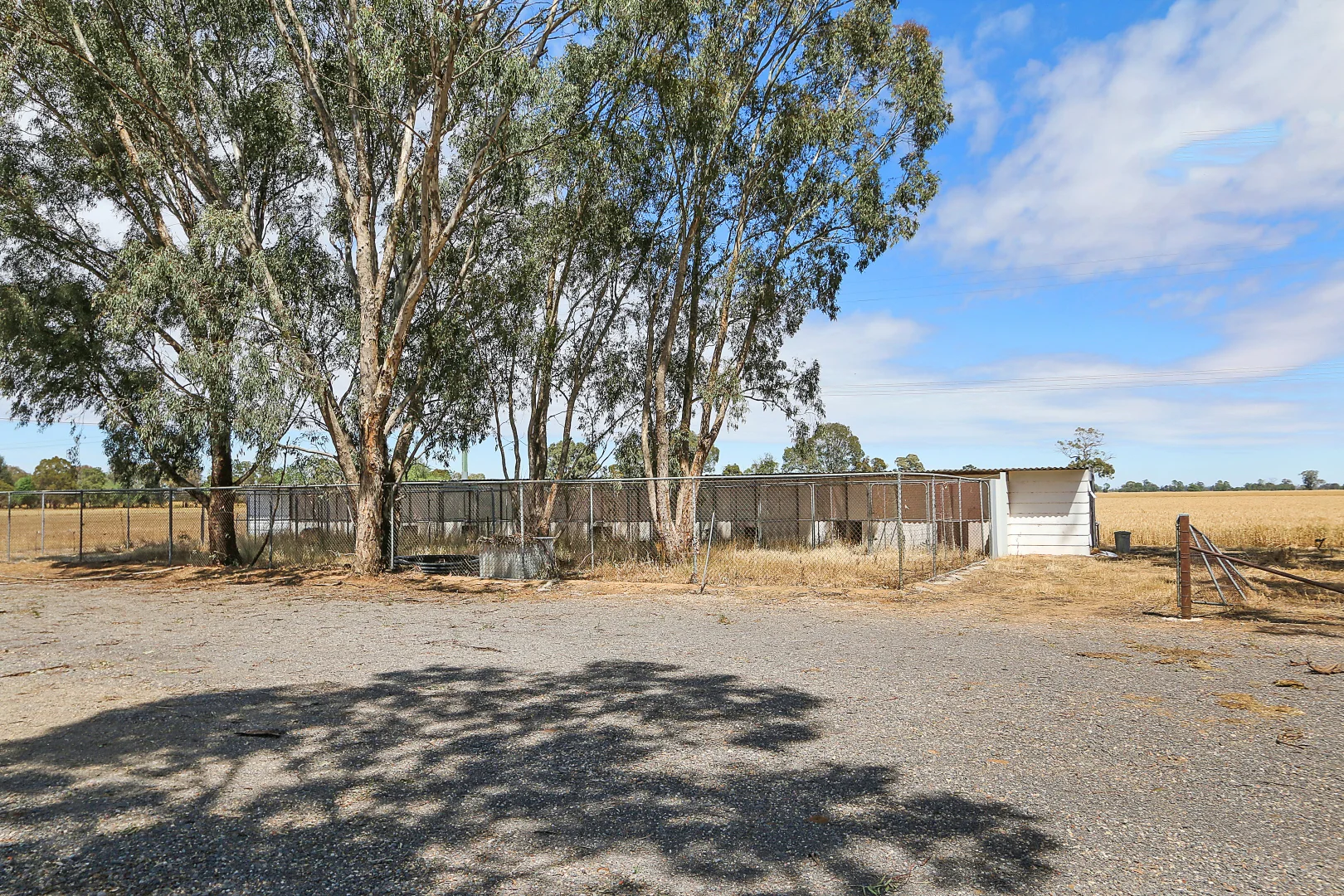 Additional image 29 of 303 Skehans Lane, Corowa NSW 2646