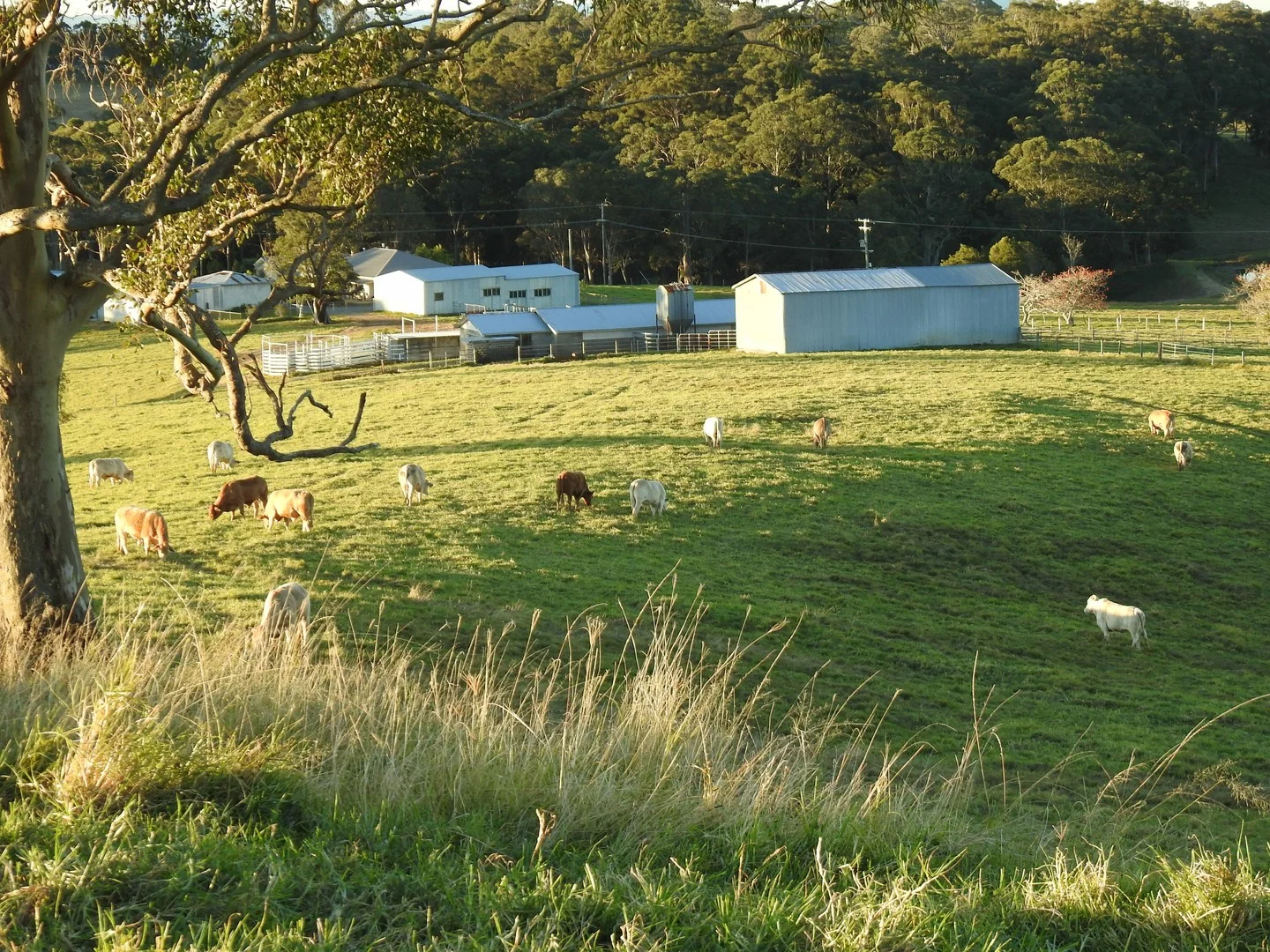 Additional image 9 of Mount Mee QLD 4521