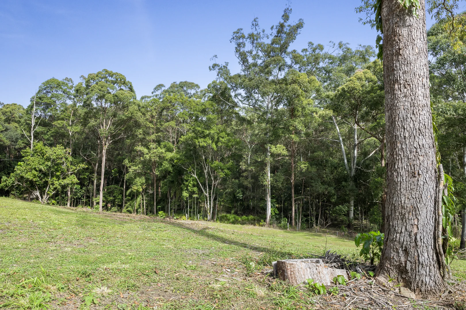 Additional image 5 of LOT 2/614 Yandina Bli Bli Rd, Maroochy River QLD 4561