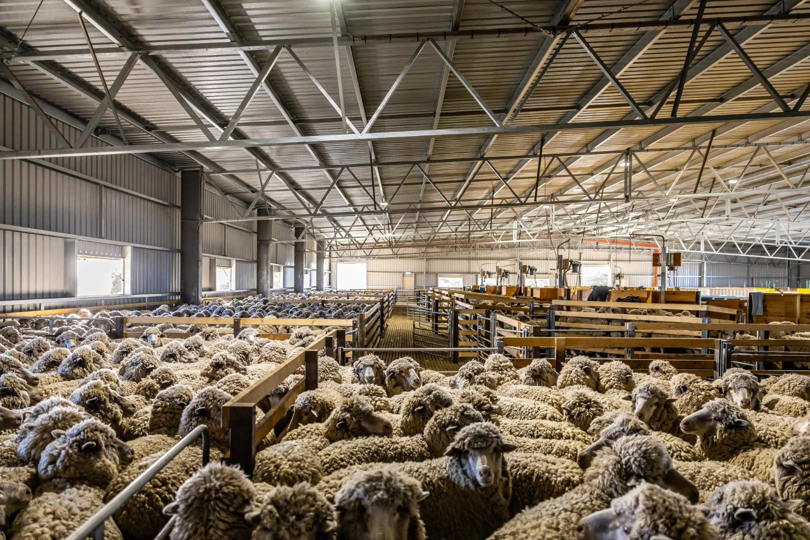 Additional image 11 of 1579 Chappel Road, Telopea Downs VIC 3420