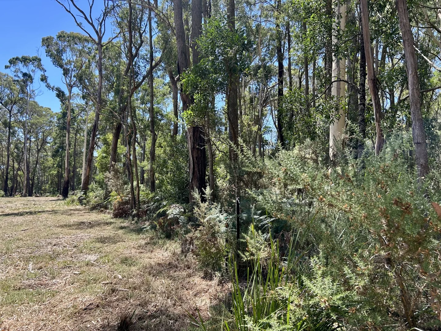 18 Golden Point Road, Trentham VIC 3458