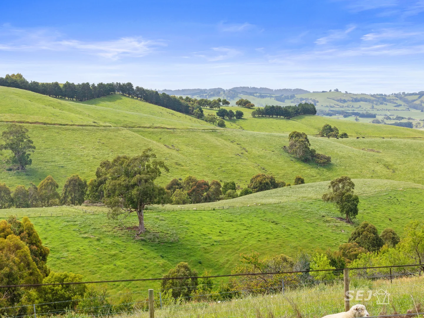 Additional image 17 of 1510 Meeniyan-Mirboo North Road, Dumbalk VIC 3956