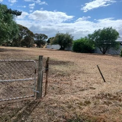 Additional image 2 of Druminure St, Jeparit VIC 3423