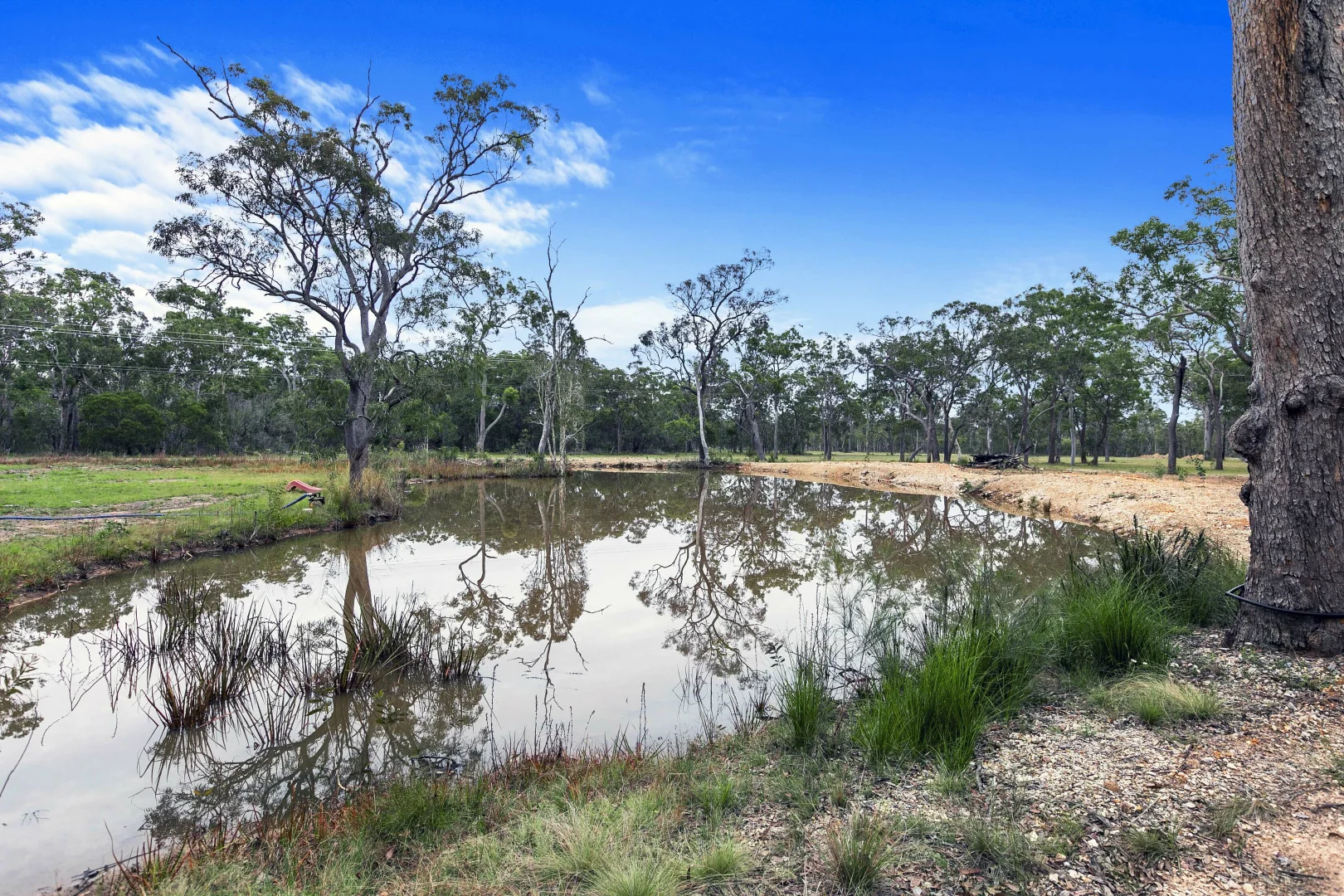 Additional image 8 of 33 Ritchie Road, Torbanlea QLD 4662