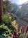 Additional image 44 of Cressing Road, Braintree CM7