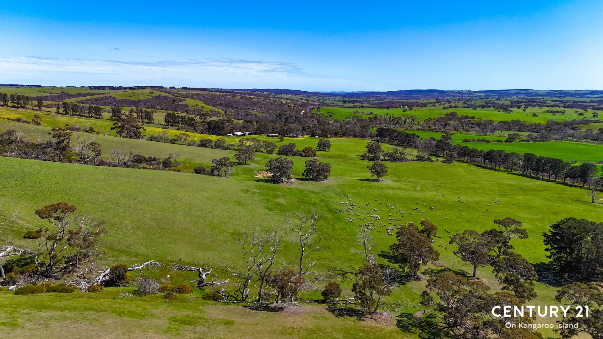 Additional image 18 of 2265 Playford Highway, Kohinoor SA 5223