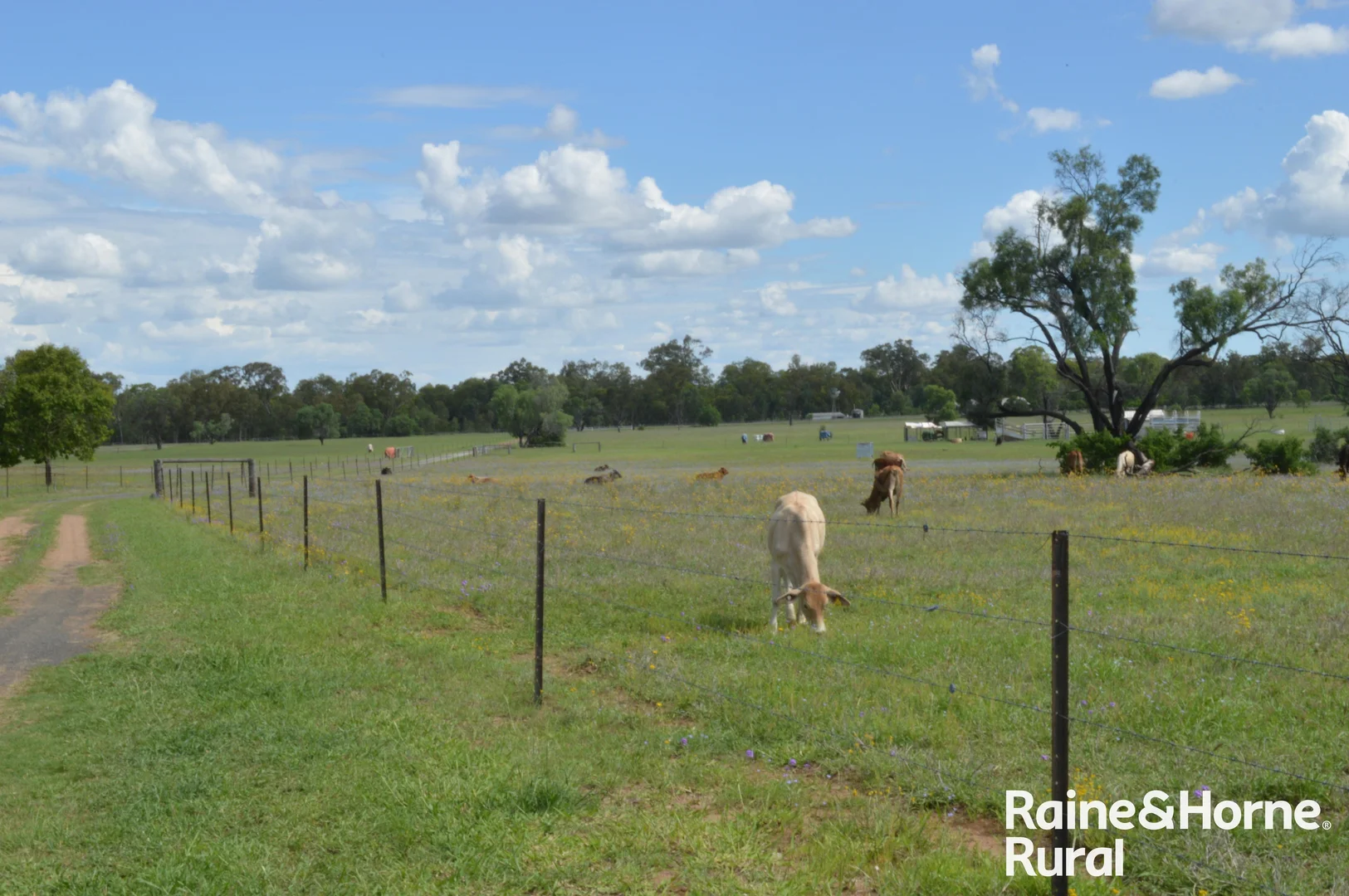 Additional image 15 of 189 Burtons Road, Orange Hill QLD 4455