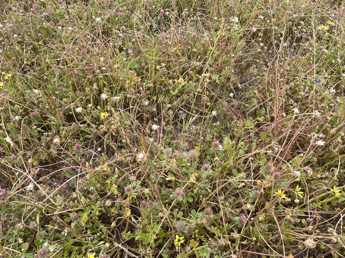 Additional image 18 of Lot 100 First North Road, Kadathinni WA 6519