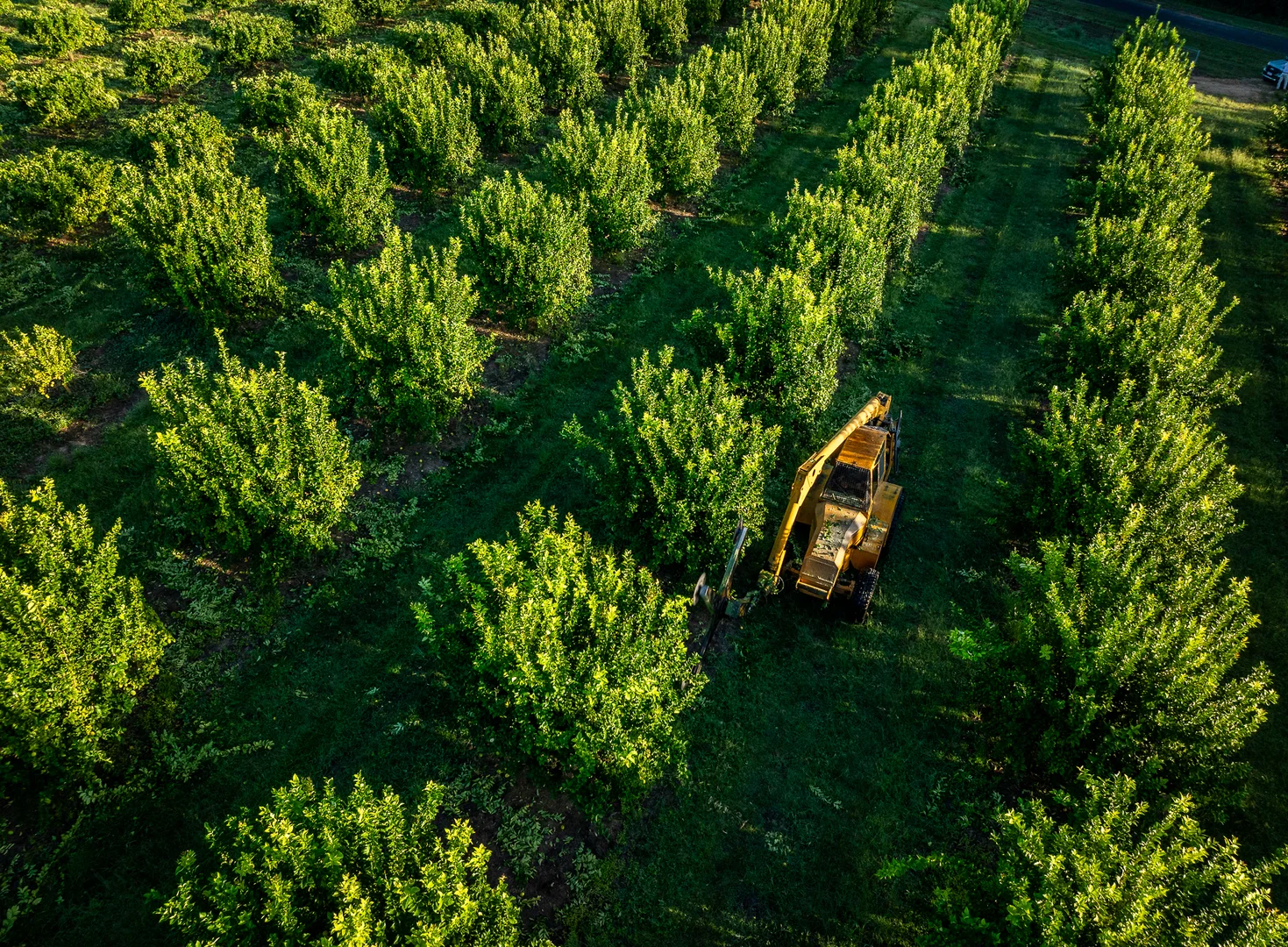 Additional image 25 of Dimbulah QLD 4872